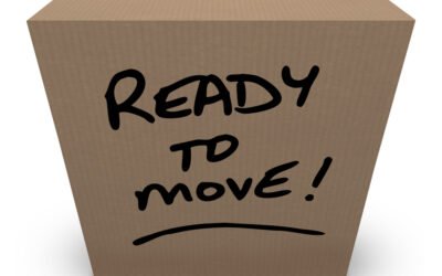 15 Essential Items for Moving Day
